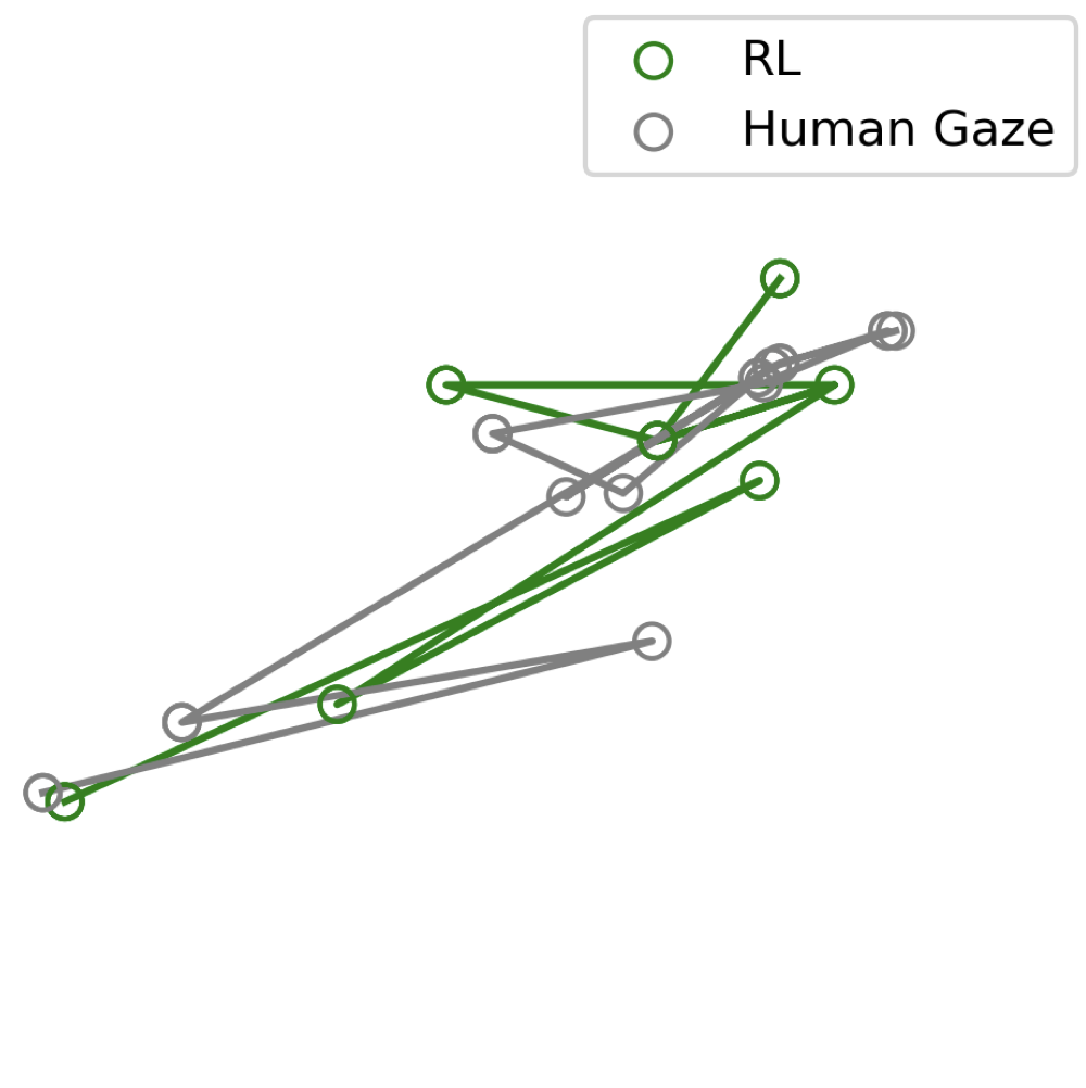 gaze.png
